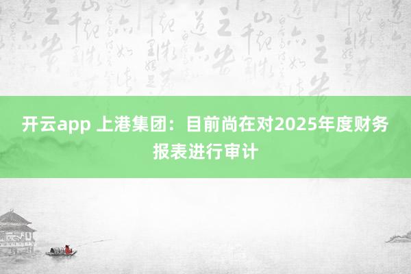 开云app 上港集团：目前尚在对2025年度财务报表进行审计